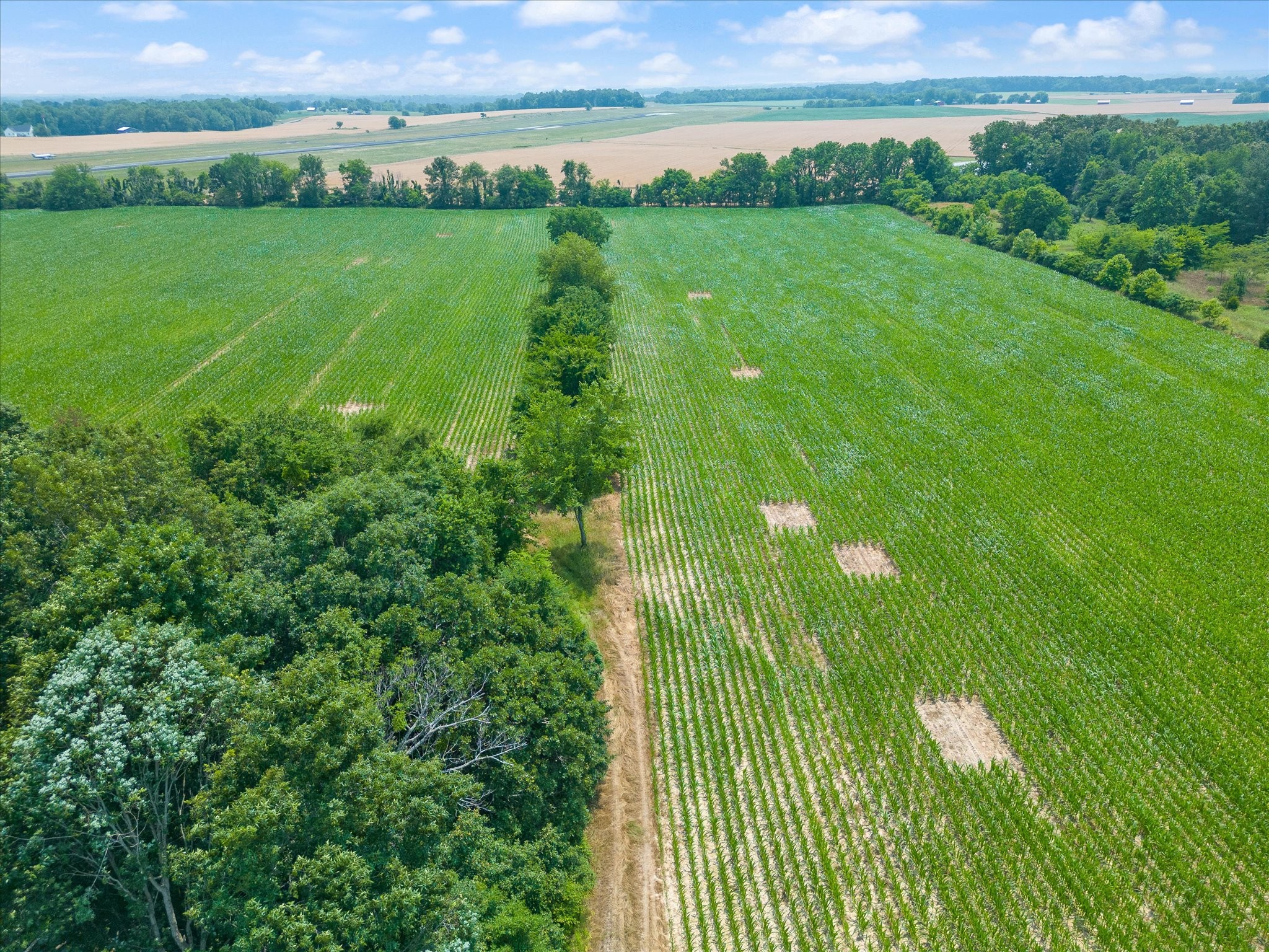 4302 Fykes Grove Road Cedar Hill, TN 37032 - Photo 3 of 10 a view of a garden with an outdoor space