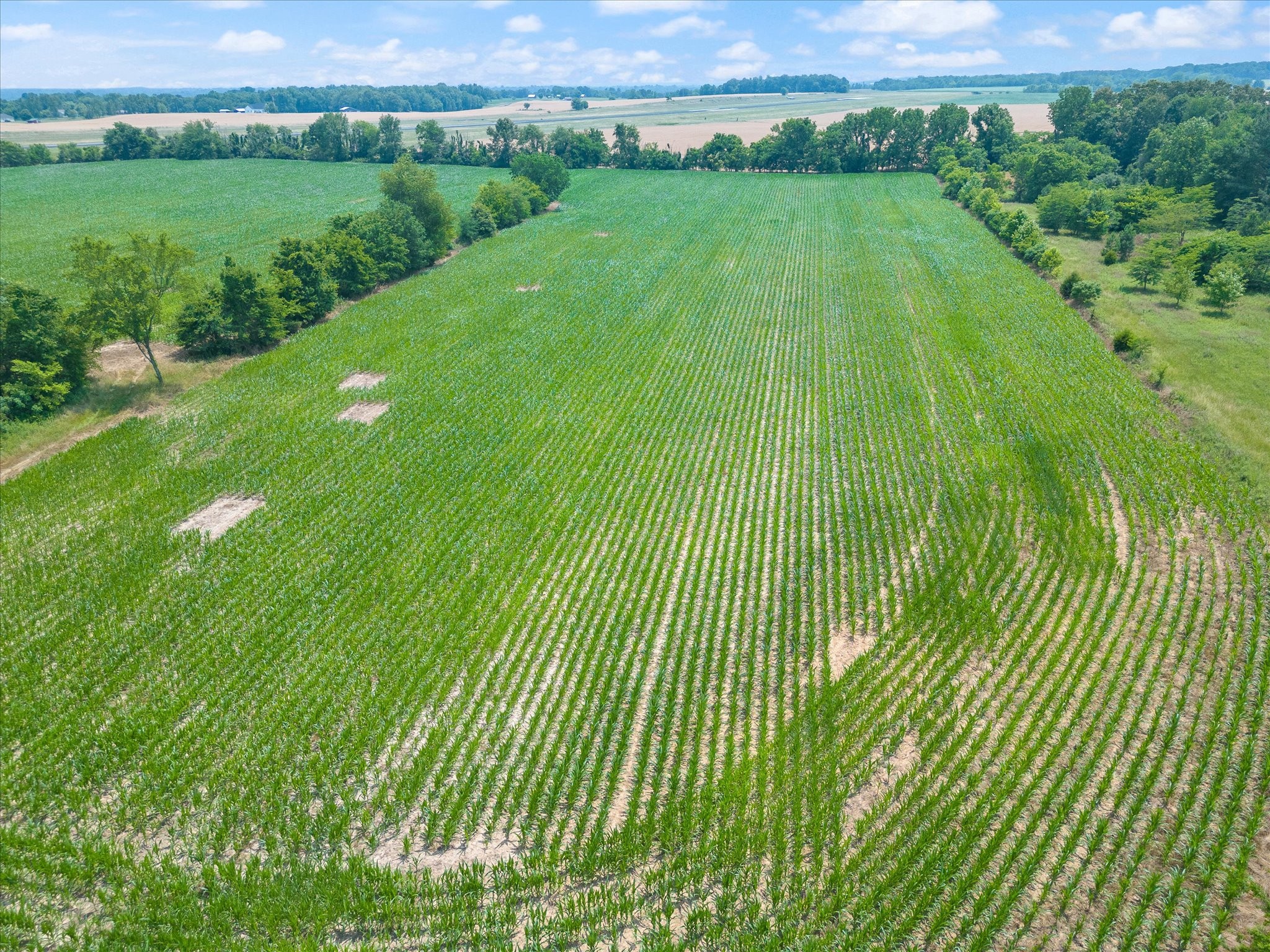 4302 Fykes Grove Road Cedar Hill, TN 37032 - Photo 4 of 10 a view of a lush green field