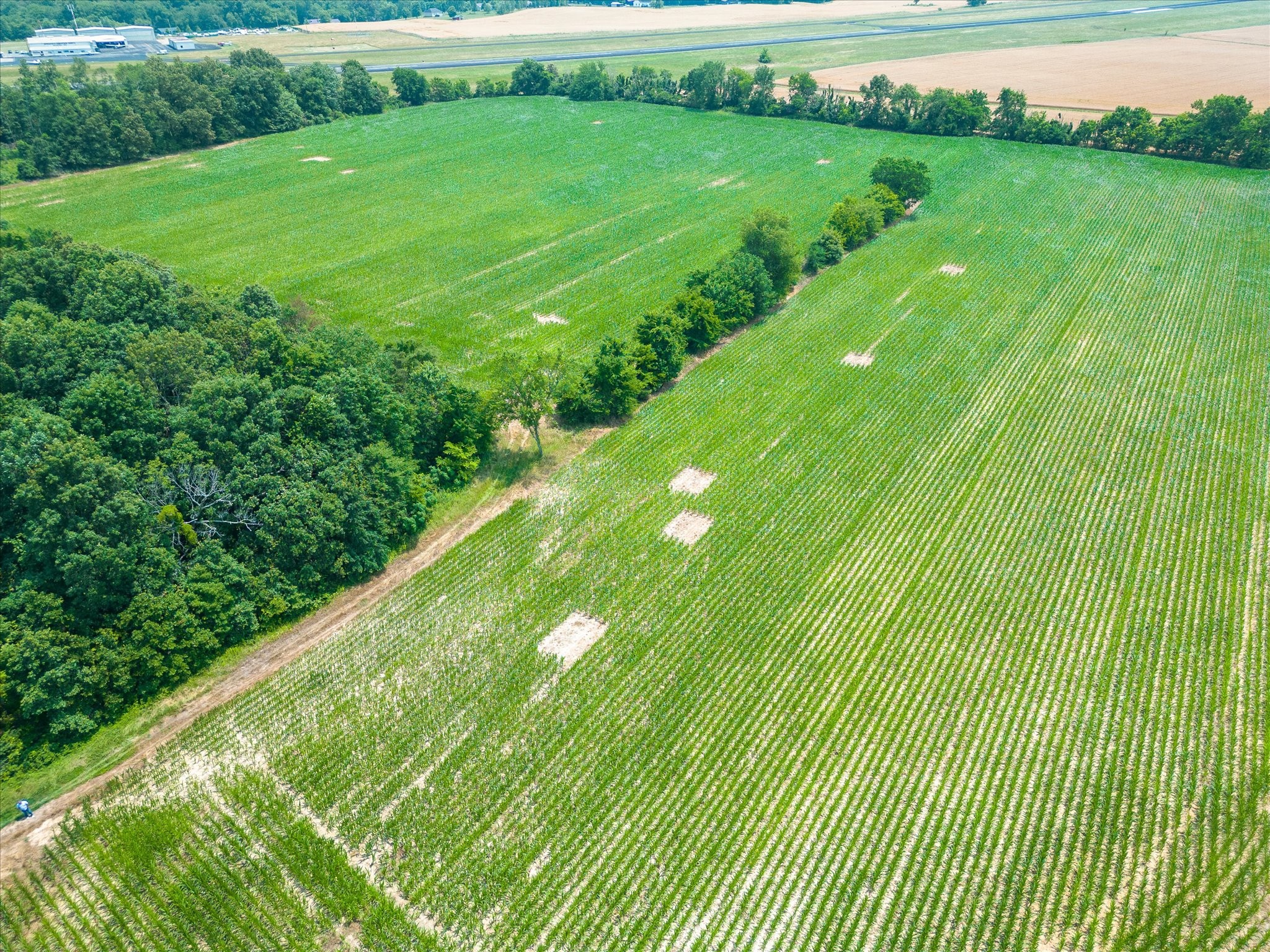 4302 Fykes Grove Road Cedar Hill, TN 37032 - Photo 5 of 10 a view of a lush green space