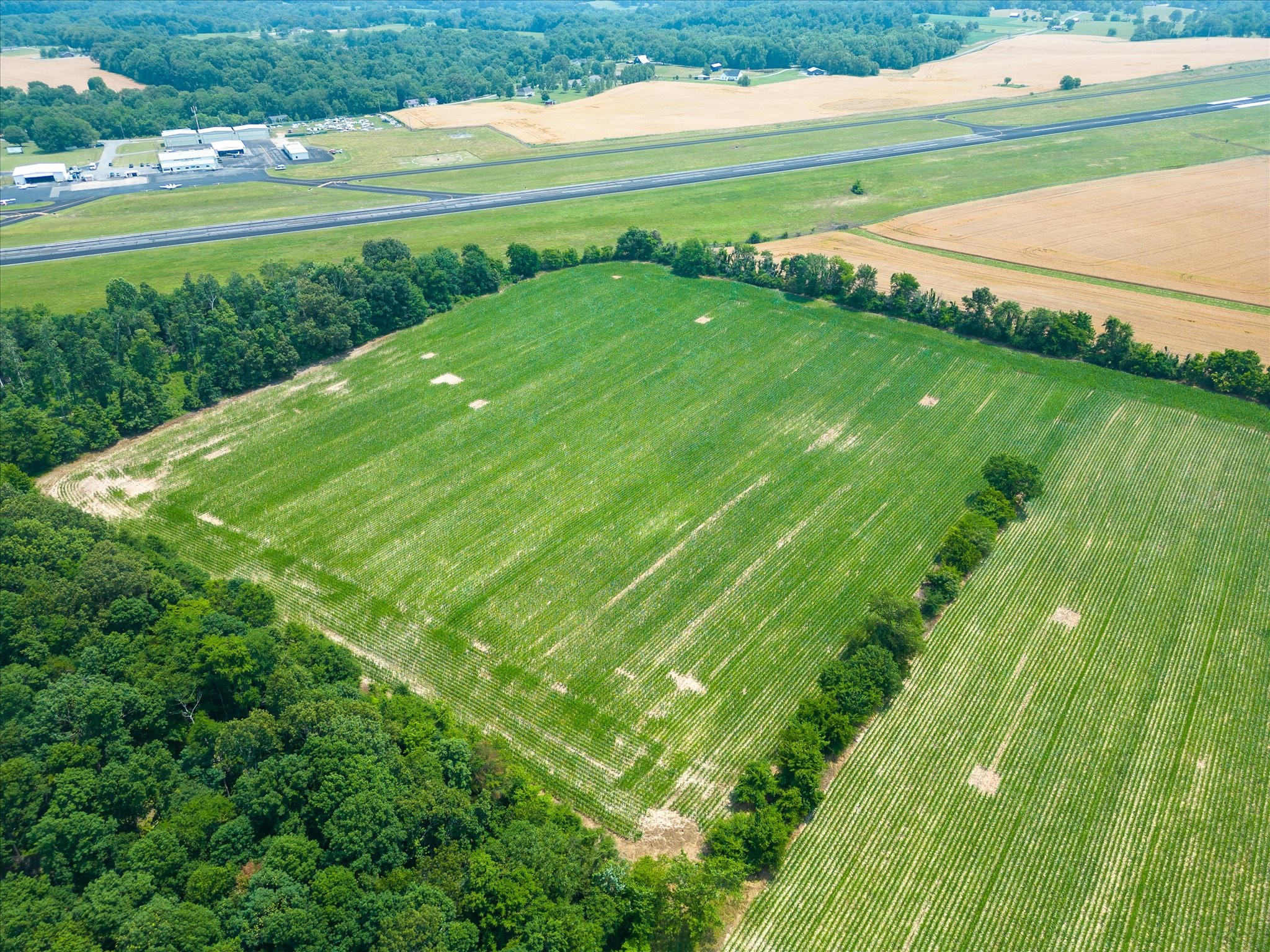4302 Fykes Grove Road Cedar Hill, TN 37032 - Photo 6 of 10 a view of field with grass and playing ground