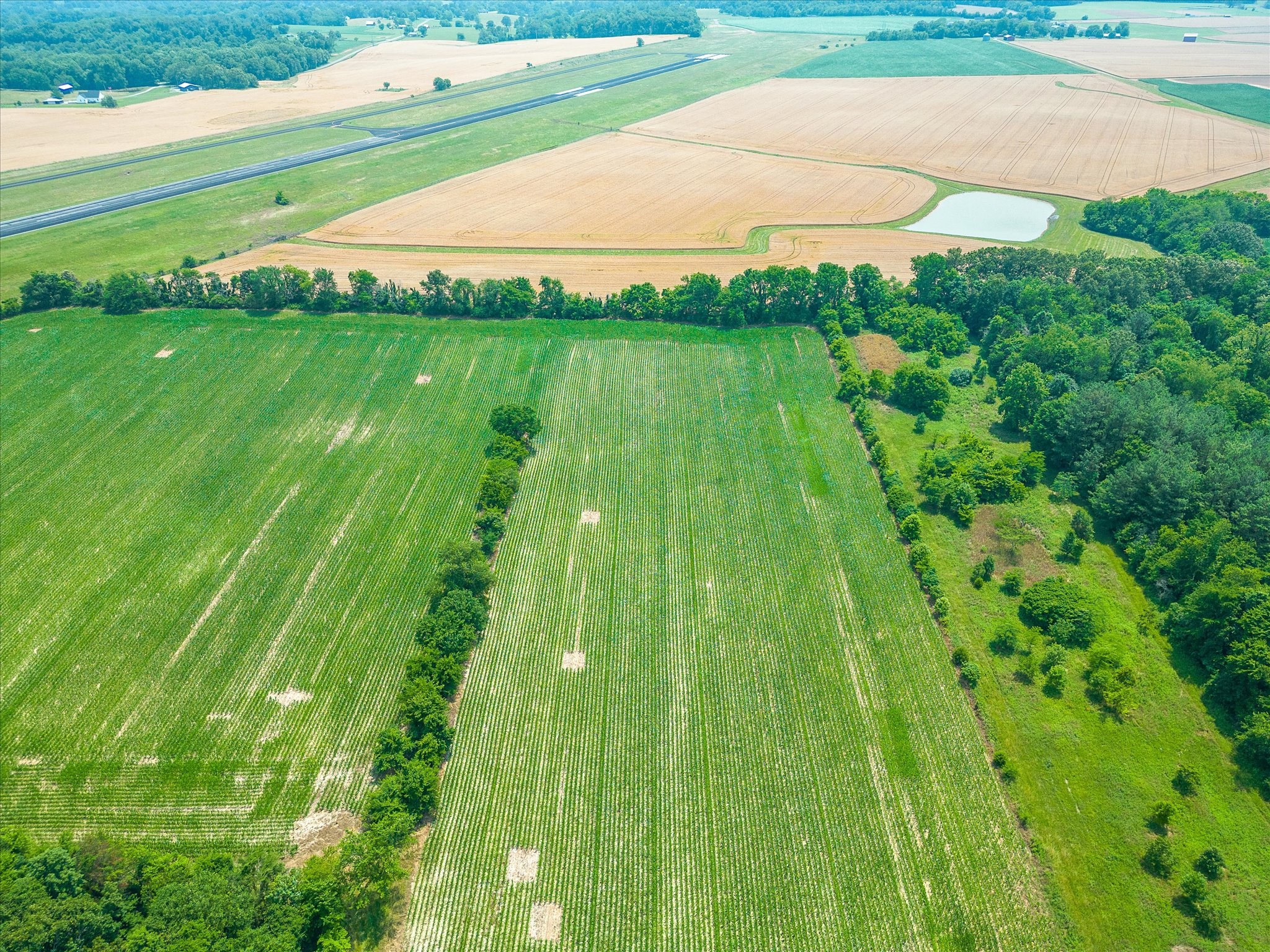 4302 Fykes Grove Road Cedar Hill, TN 37032 - Photo 7 of 10 a view of a garden with a lake