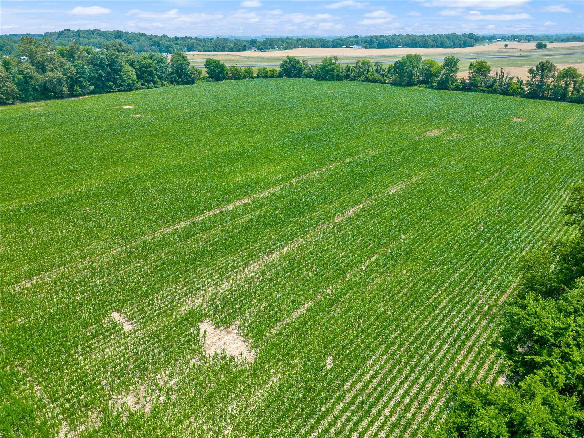 4302 Fykes Grove Road Cedar Hill, TN 37032 - Photo 8 of 10 a view of field with grass and grass