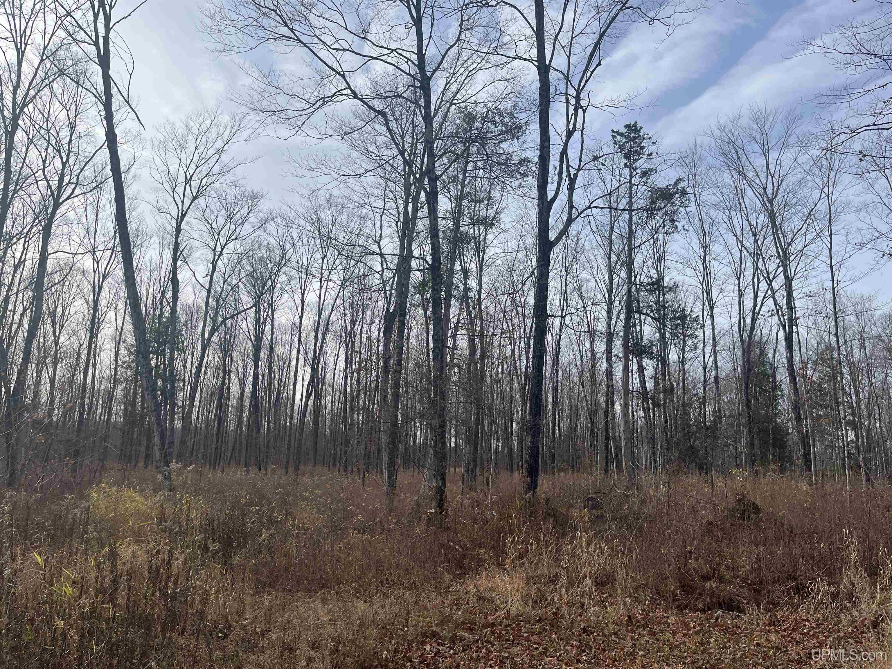 120-acres Off County Sk Road Cornell, MI 49818 - Photo 7 of 40