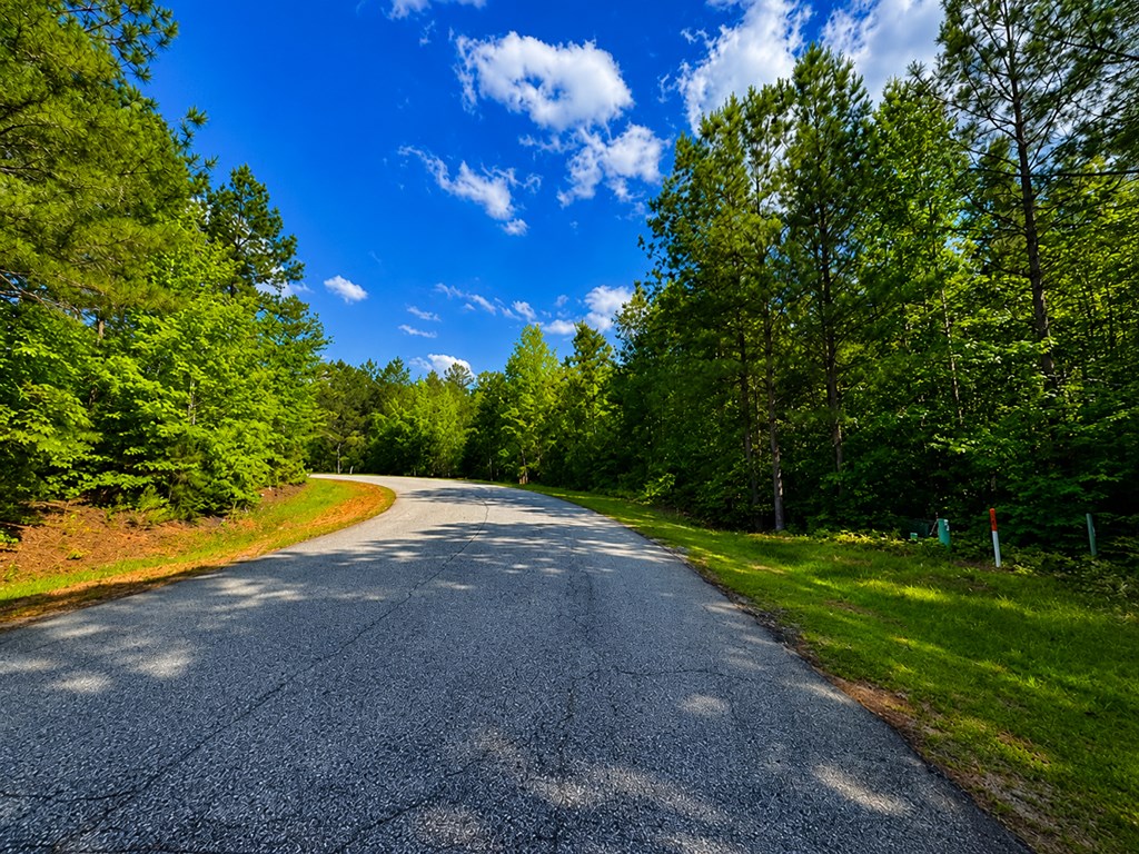 519 Terrapin Pointe Road Hodges, SC 29653 - Photo 2 of 7