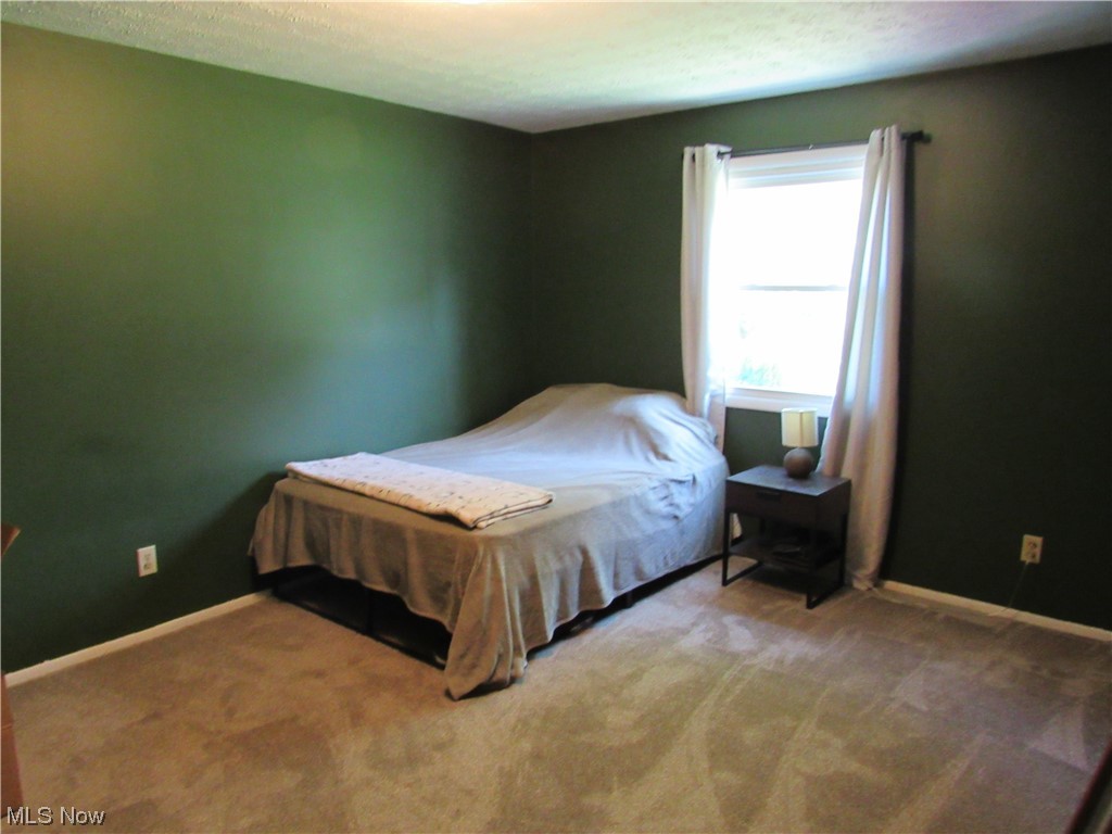 10043 Akron Road Rittman, OH 44270 - Photo 9 of 16 Master Bedroom