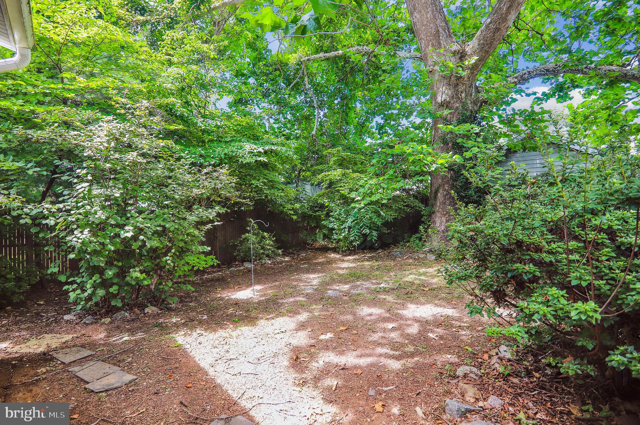 4413 Sigsbee Road Silver Spring, MD 20906 - Photo 34 of 36 Backyard