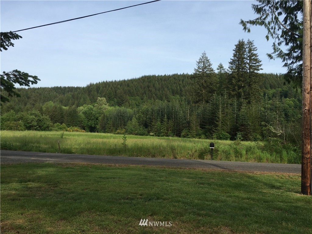 29 Ray Road Elma, WA 98541 - Photo 7 of 15 Gallery Image 7