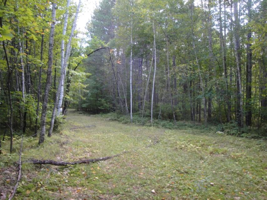 57.7 A Mildred Parkway Rhinelander, WI 54501 - Photo 11 of 16 Gallery Image 11