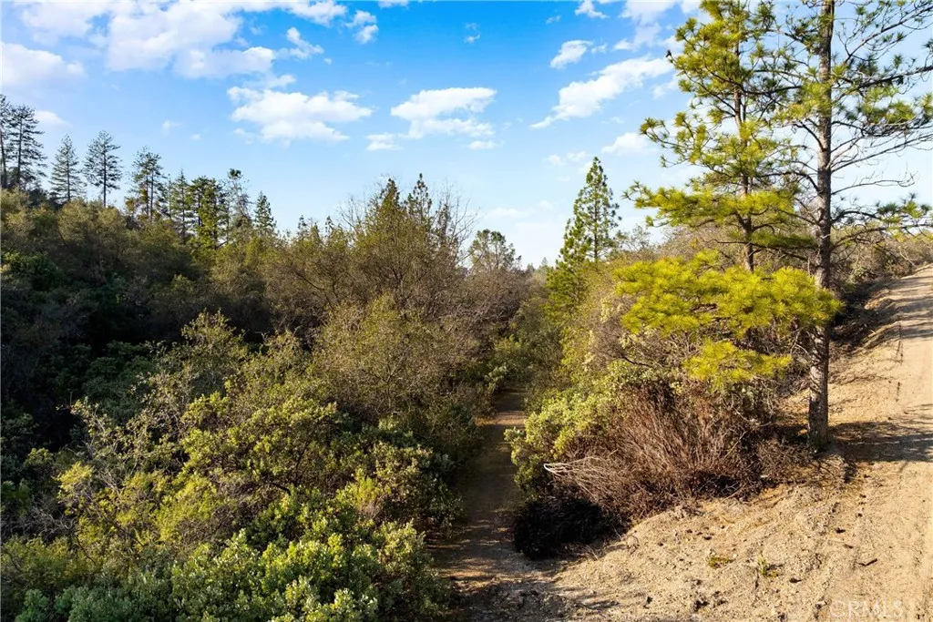 1 Ridge View Drive Sutter Creek, CA 95685 - Photo 3 of 25 Gallery Image 3