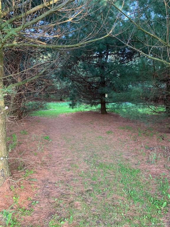 2683 Carleton West Road Carleton, MI 48117 - Photo 17 of 87