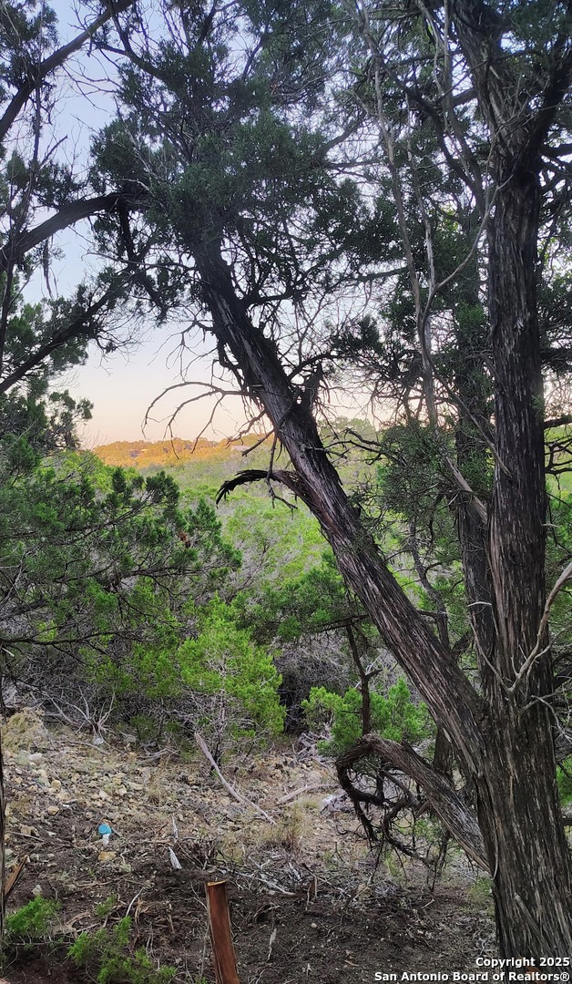 a view of an outdoor space with a tree