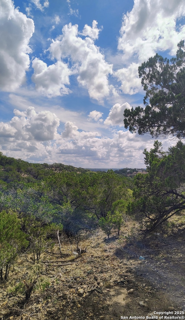 181 Deer Run Road Bandera, TX 78003 - Photo 3 of 5 a view of a garden with a building