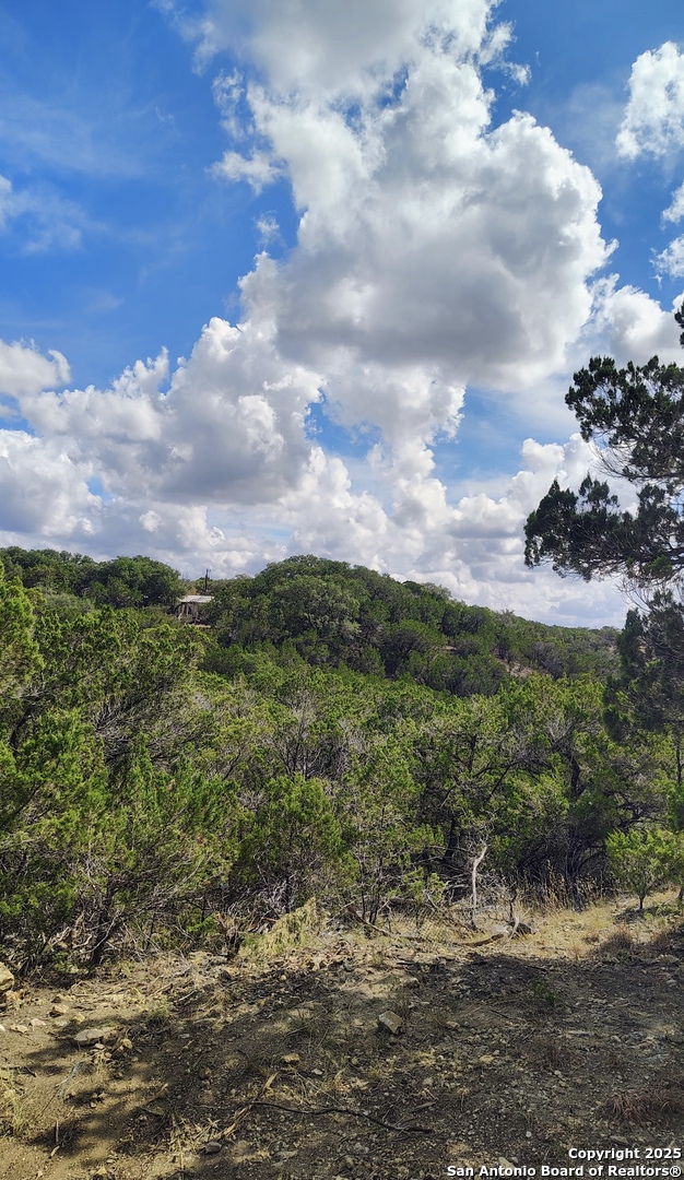 181 Deer Run Road Bandera, TX 78003 - Photo 4 of 5 a view of a city with lush green forest
