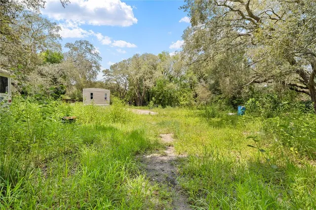 a view of a big yard with lots of bushes