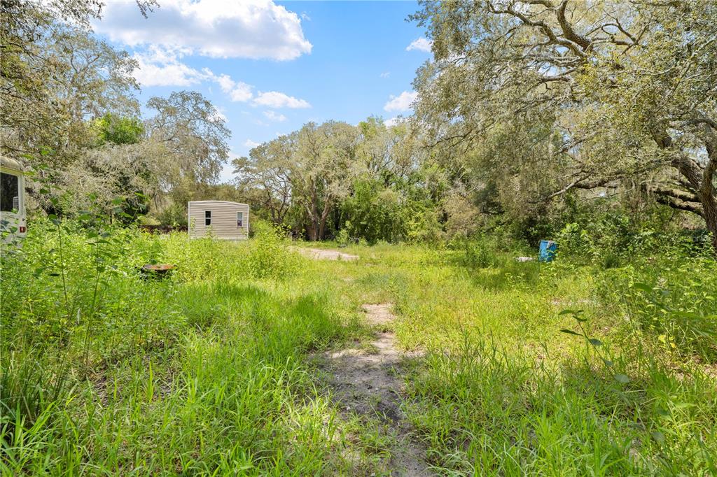 16710 Monteverde Drive Spring Hill, FL 34610 - Photo 11 of 16 a view of a big yard with lots of bushes