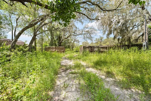 a backyard of a house with lots of green space