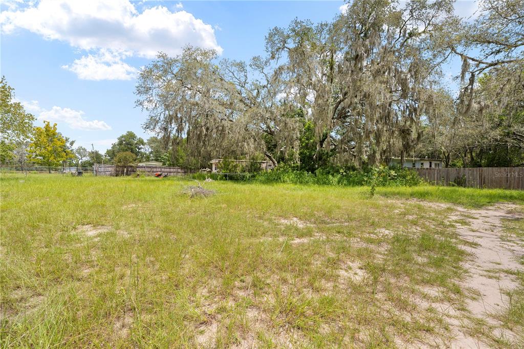 16710 Monteverde Drive Spring Hill, FL 34610 - Photo 15 of 16 a view of a yard with a trees