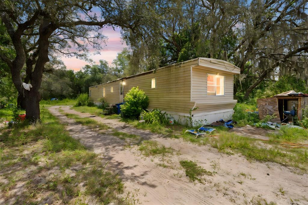 16710 Monteverde Drive Spring Hill, FL 34610 - Photo 3 of 16 a backyard of a house with plants and large tree
