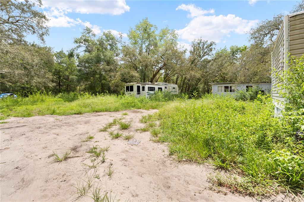 16710 Monteverde Drive Spring Hill, FL 34610 - Photo 9 of 16 a view of a yard with plants and large trees