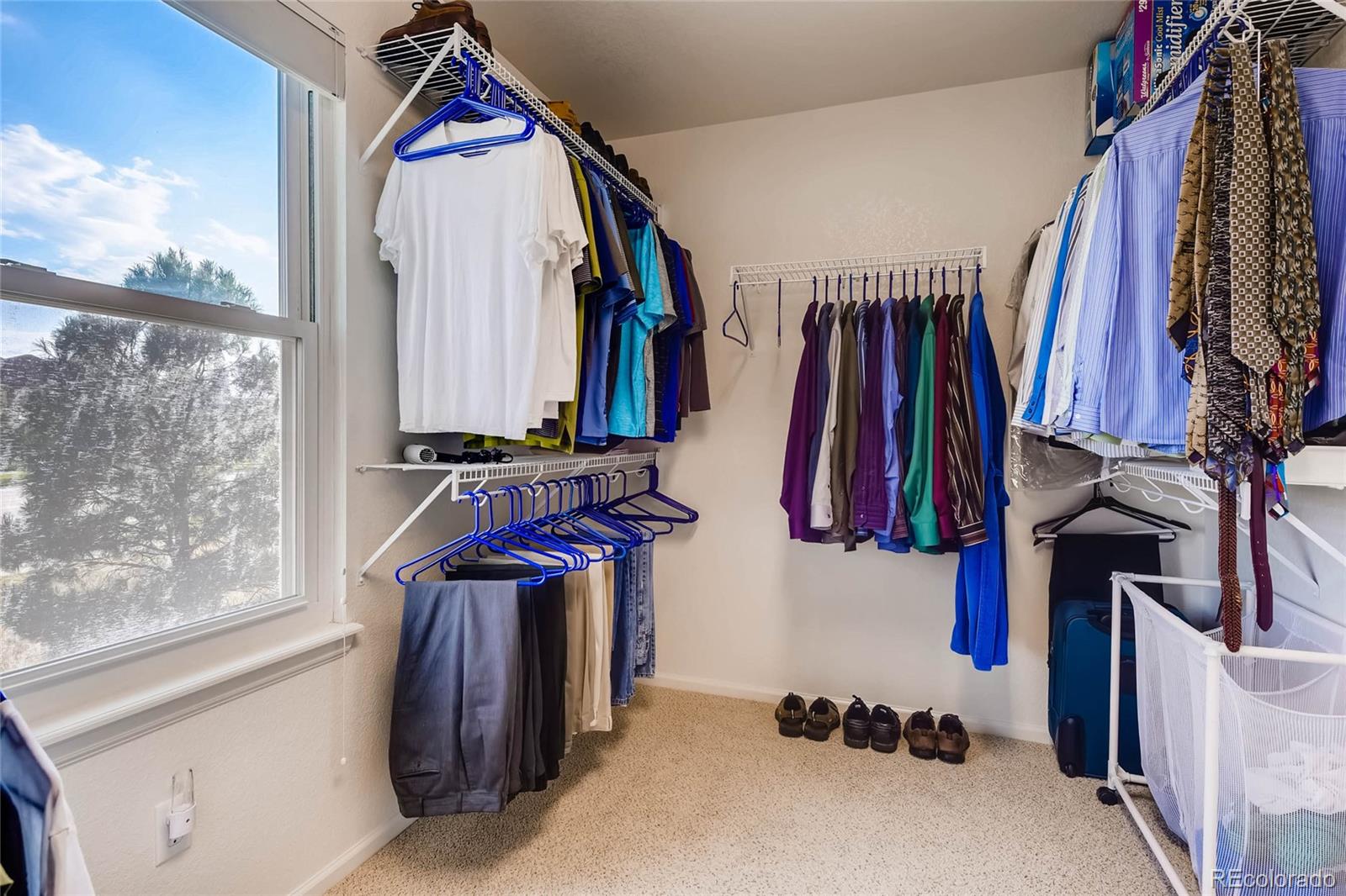 5028 Wagon Highlands Ranch Highlands Ranch, CO 80130 - Photo 17 of 28 Gallery Image 17