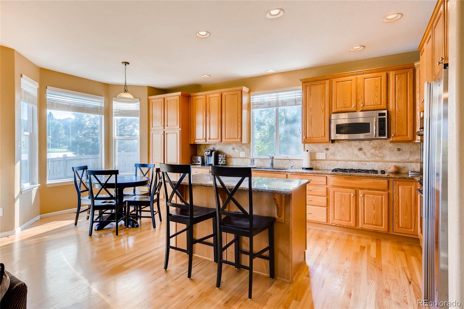 5028 Wagon Highlands Ranch Highlands Ranch, CO 80130 - Photo 10 of 28 Gallery Image 10