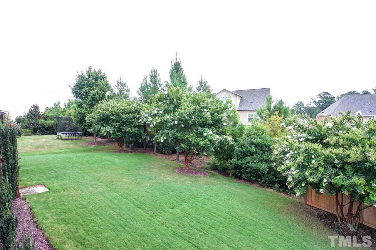 11818 Lowery Ridge Drive Raleigh, NC 27614 - Photo 8 of 25 Spacious, lush backyard with irrigation (front & back).