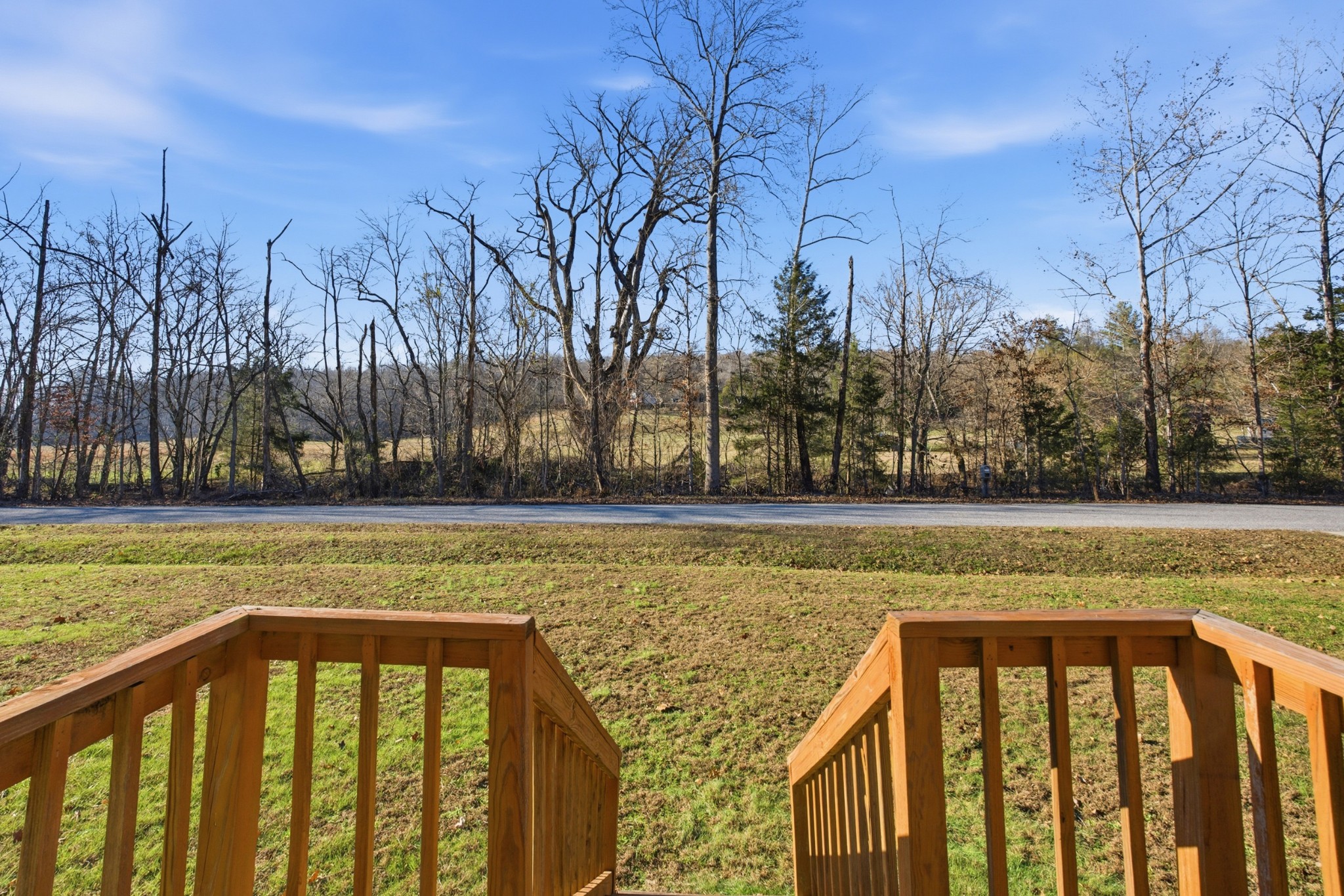 1700 Cumberland Valley Road Erin, TN 37061 - Photo 3 of 24 a view of yard with trees