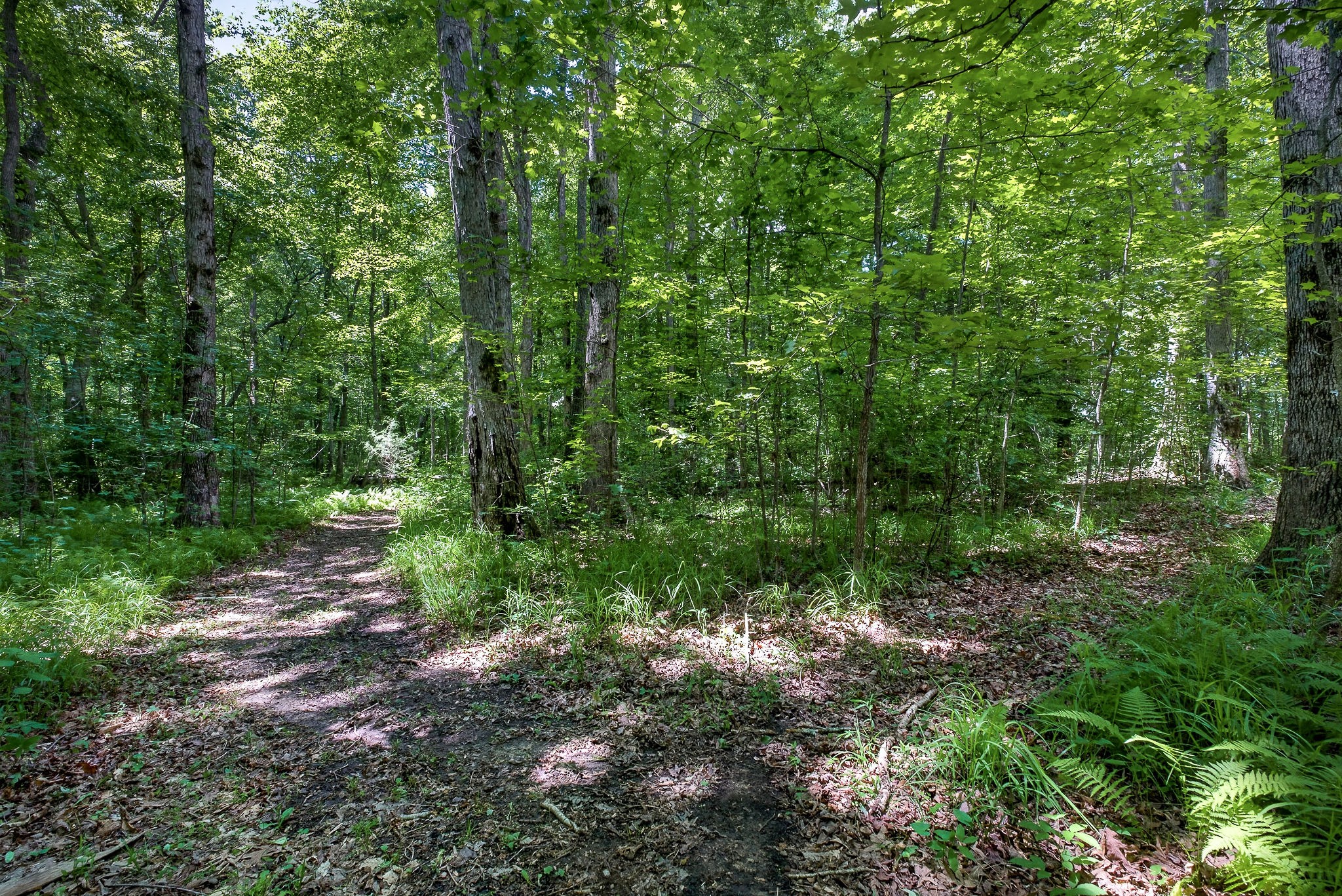 2025 Old Bonair Road Sparta, TN 38583 - Photo 53 of 72