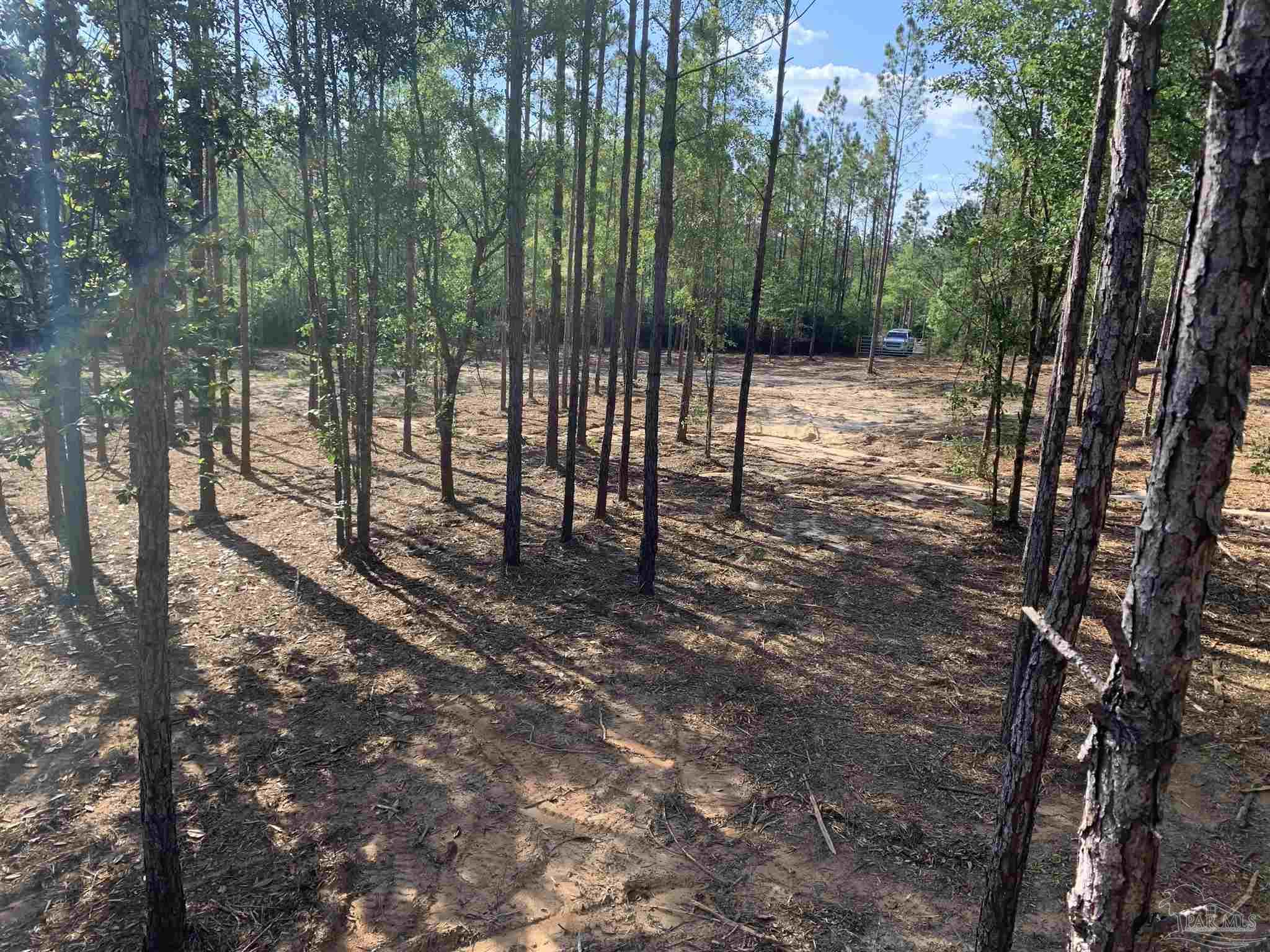 Lot 4 Wallace Lake Road Milton, FL 32571 - Photo 1 of 8 Gallery Image 1