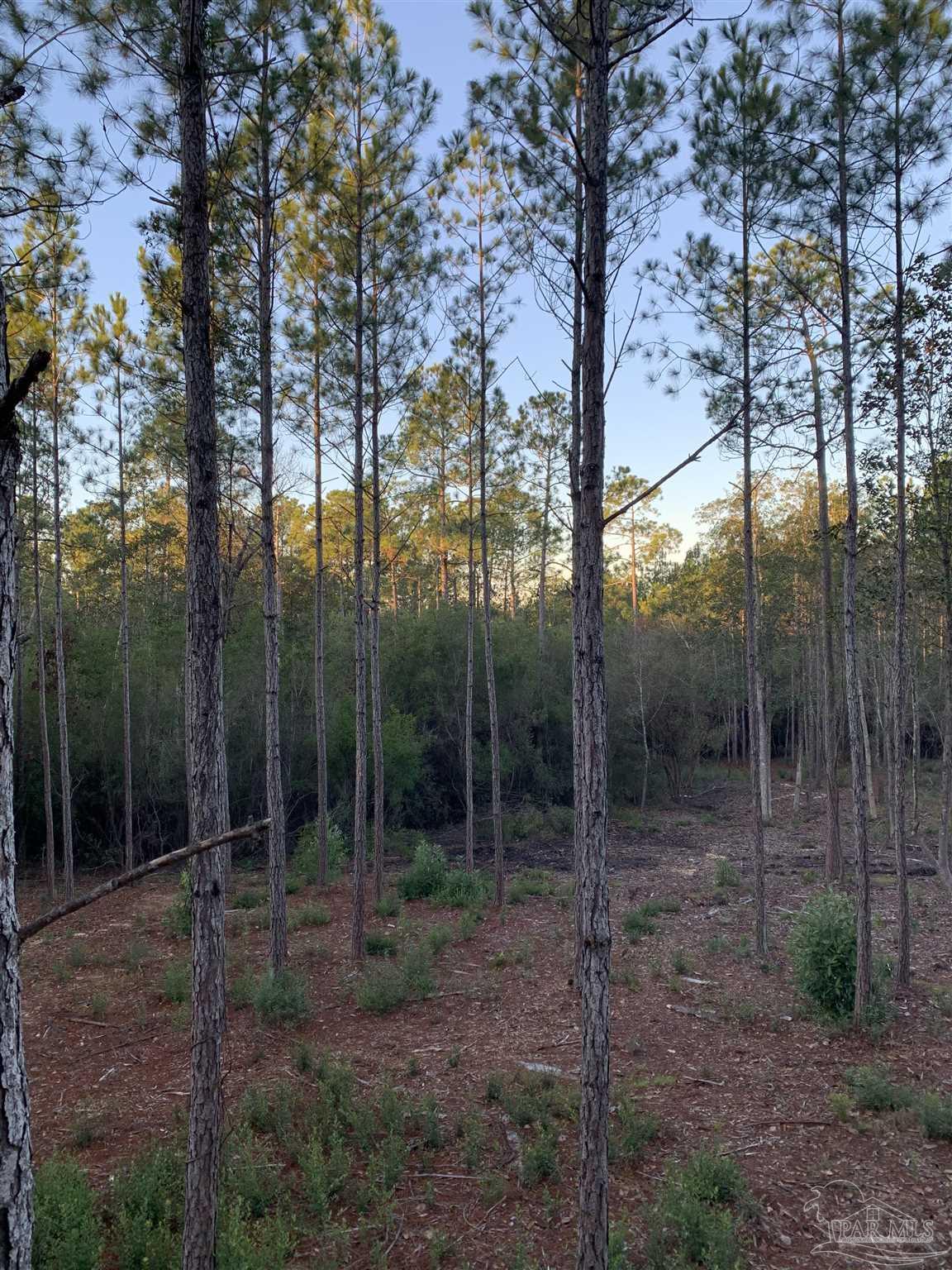 Lot 4 Wallace Lake Road Milton, FL 32571 - Photo 2 of 8 Gallery Image 2
