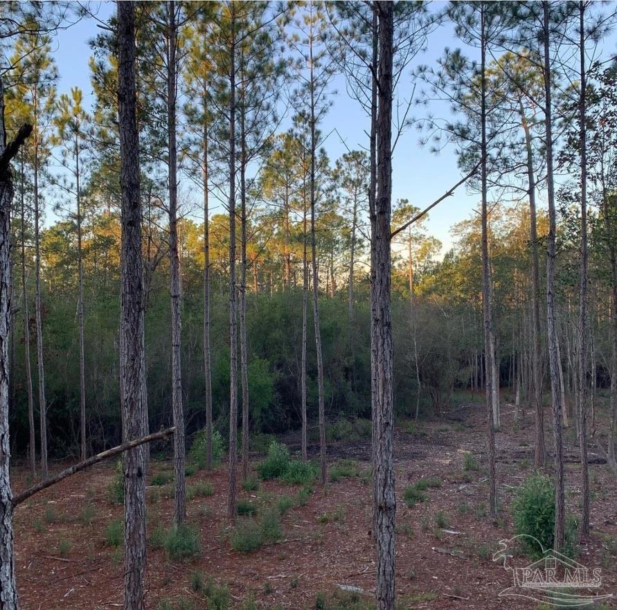 Lot 4 Wallace Lake Road Milton, FL 32571 - Photo 8 of 8 Gallery Image 8