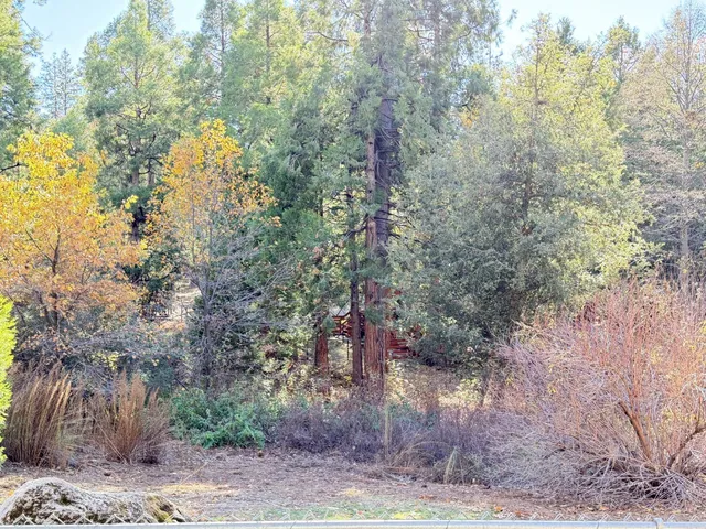 a backyard of a house