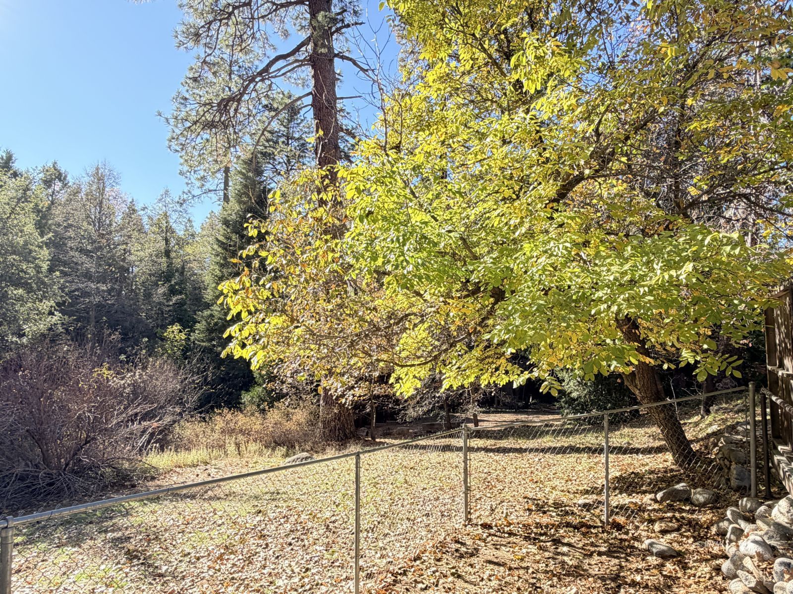 54059 Montgomery Idyllwild, CA 92549 - Photo 24 of 24 a view of a yard