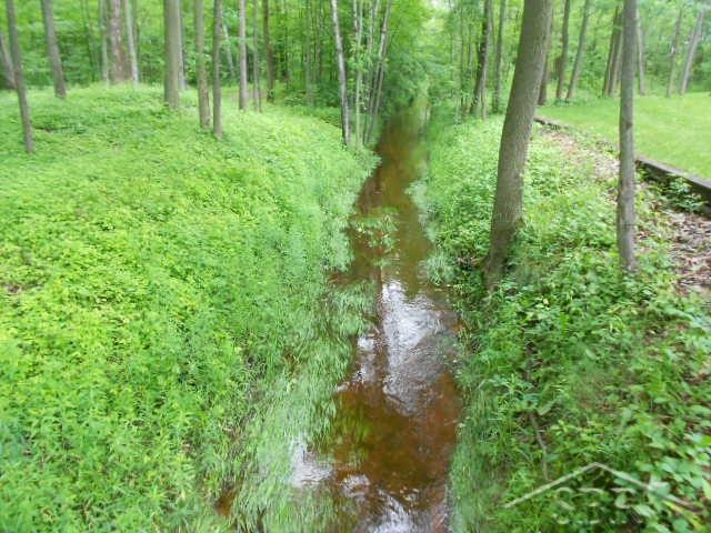 5909 North Swede Road Midland, MI 48642 - Photo 17 of 21