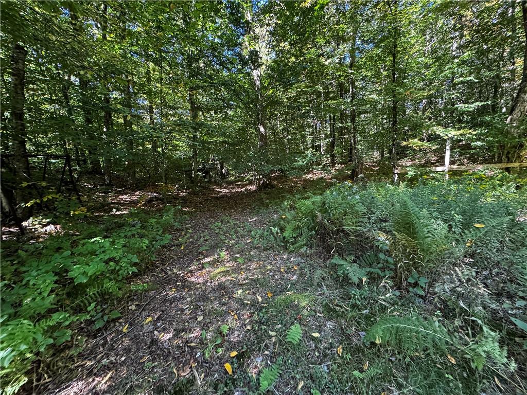 185 Kaine Road Williamstown, NY 13302 - Photo 14 of 21