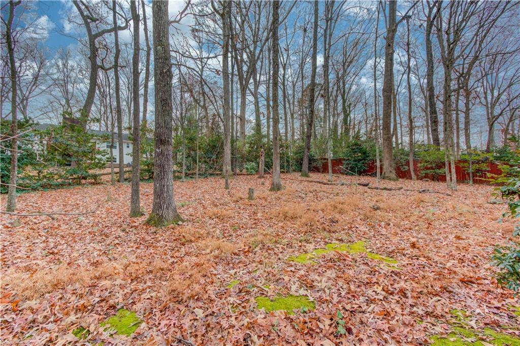 313 Summit Ridge Drive Lawrenceville, GA 30046 - Photo 37 of 42 a backyard of a house with lots of green space