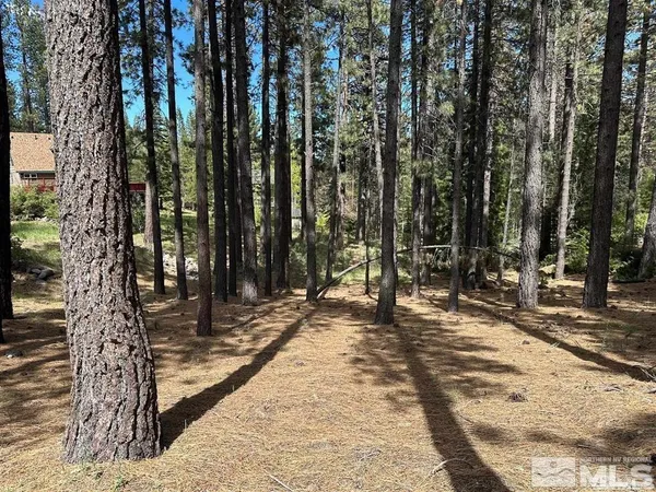 a view of a backyard of the house