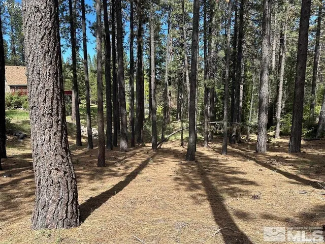 a view of a backyard of the house