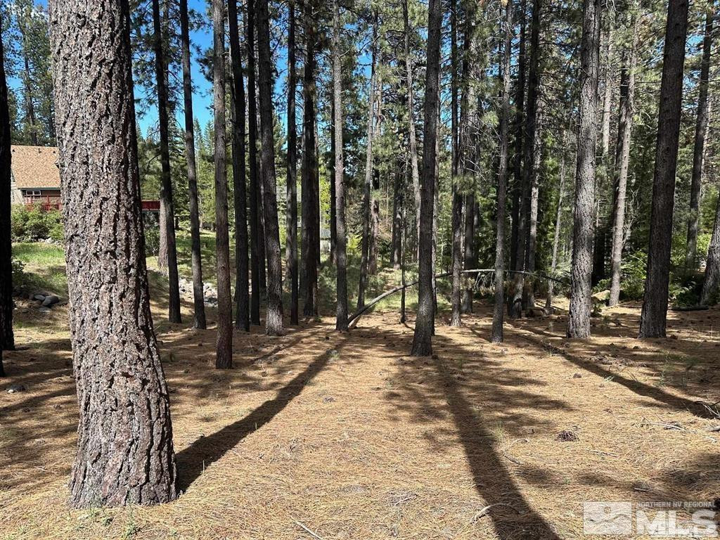 a view of a backyard of the house