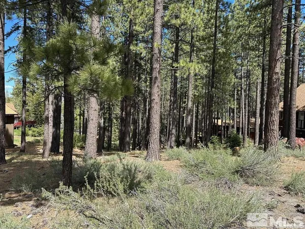 a view of outdoor space with trees