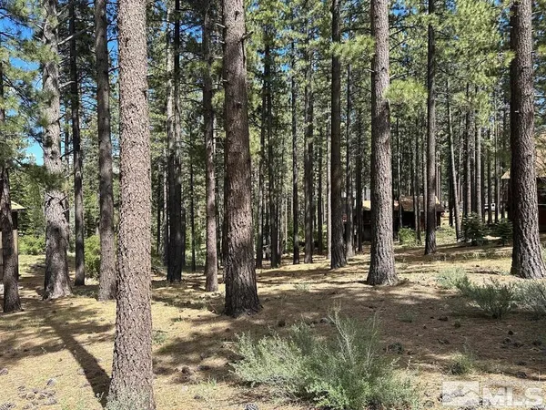 a view of outdoor space with trees