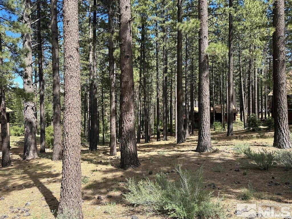 546 Pleasant Valley Road Markleeville, CA 96120 - Photo 3 of 5 a view of outdoor space with trees
