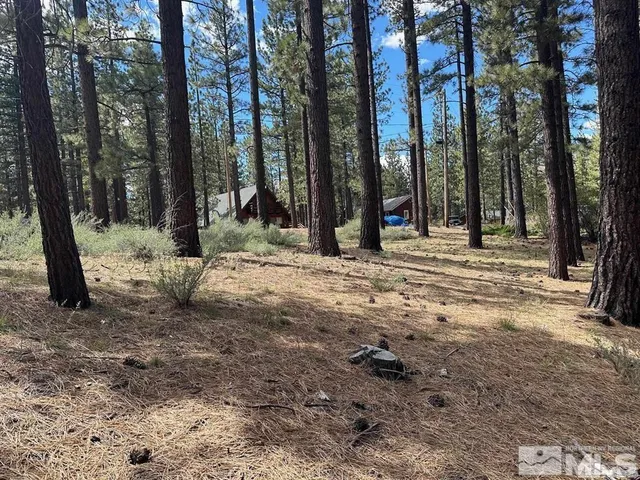 a view of a yard with trees in the background