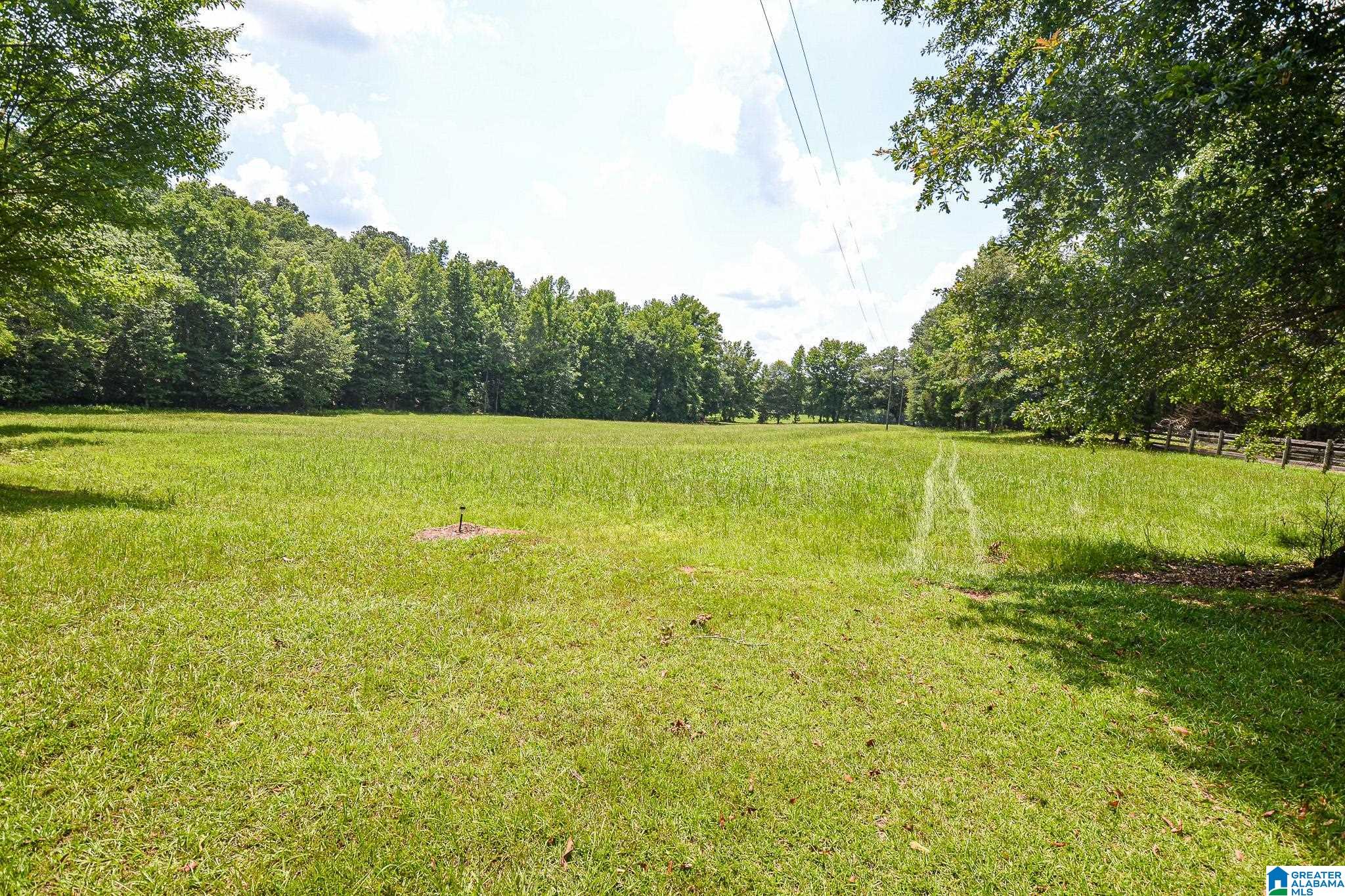 1540 Pepper Road, Unit 49 / ACRES Ashland, AL 36251 - Photo 2 of 31