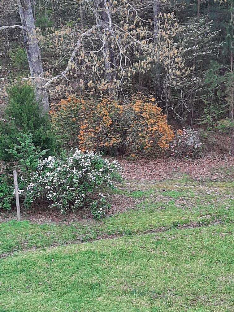 2019 Grand Center Road Chickamauga, GA 30707 - Photo 32 of 33 Resized-20200330-175236