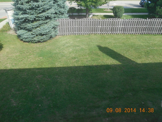 3612 Harms Road Joliet, IL 60435 - Photo 3 of 25 a view of a garden