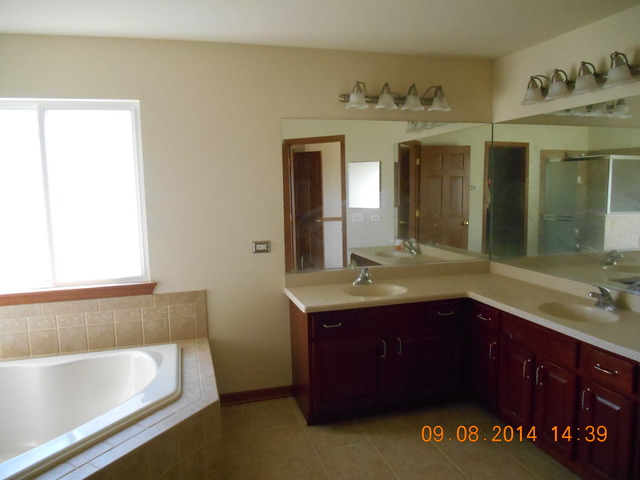 3612 Harms Road Joliet, IL 60435 - Photo 22 of 25 a bathroom with a tub sink and mirror