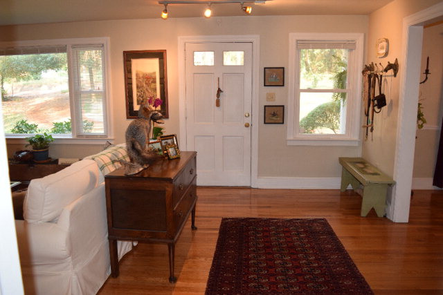 730 West Rollingwood Road Aiken, SC 29801 - Photo 10 of 36