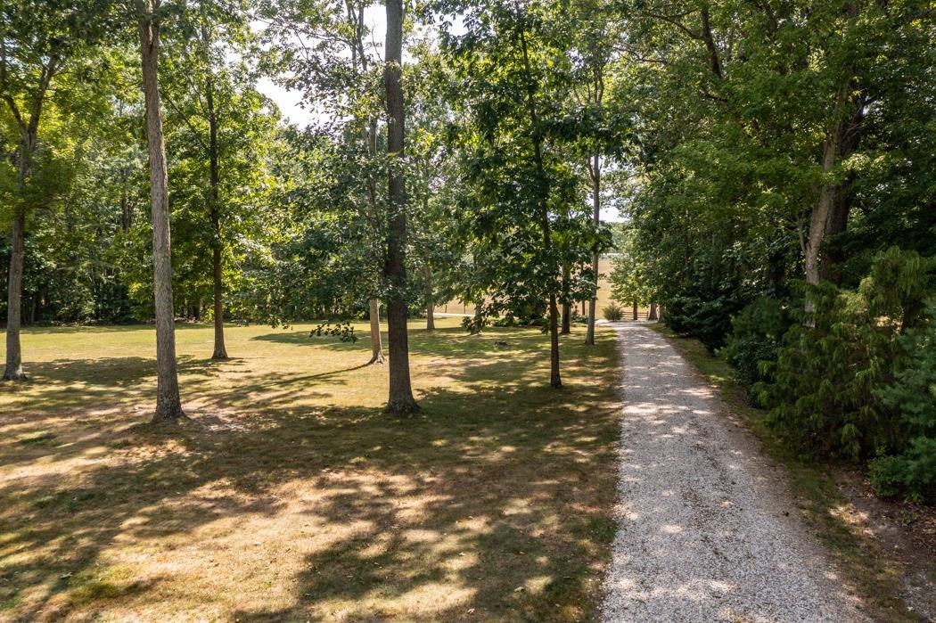 170 Old Back Road Raphine, VA 24472 - Photo 20 of 66