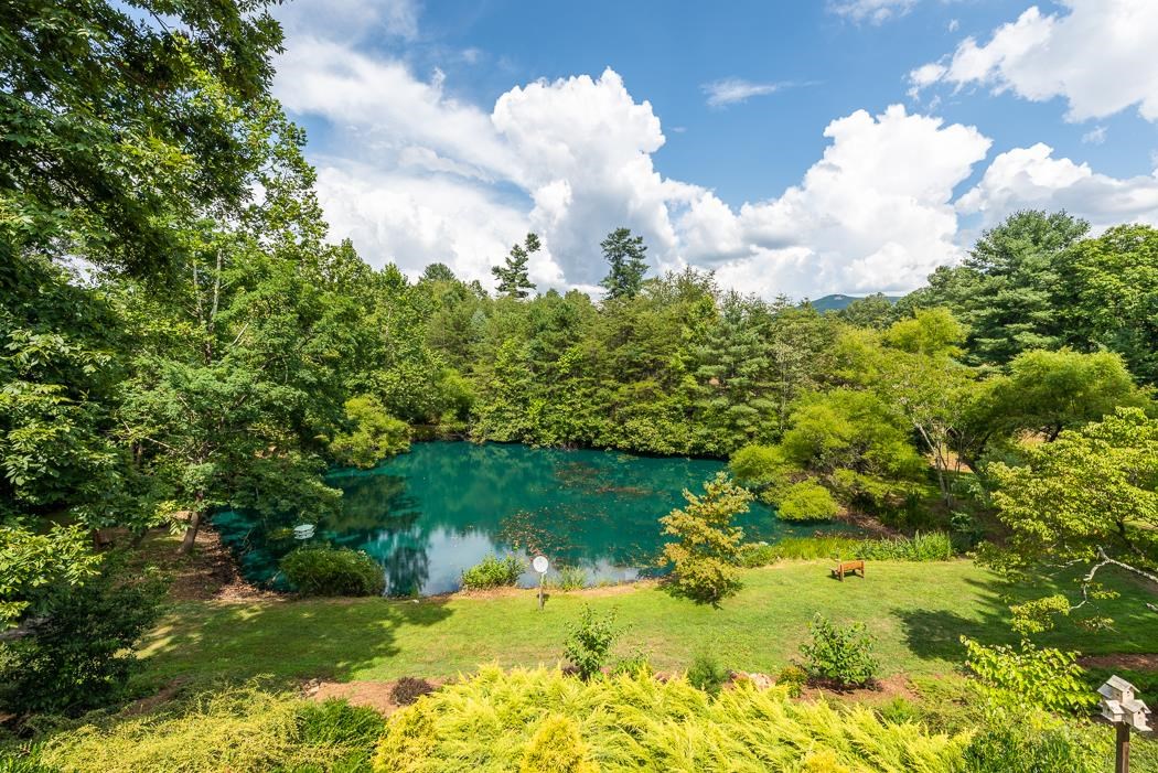 170 Old Back Road Raphine, VA 24472 - Photo 22 of 66 a view of a lake with a yard